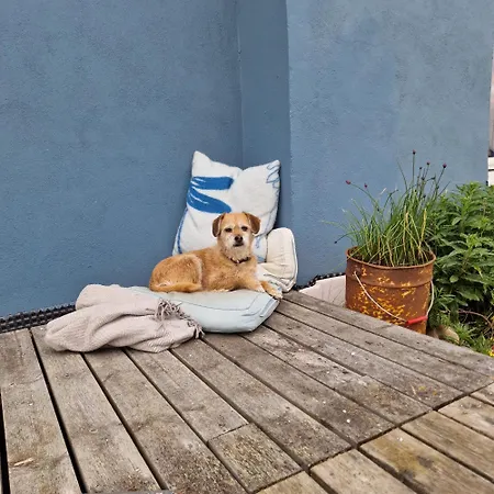 Liten I Apartment Berlevag